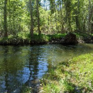 Meet your Posher, Zoey